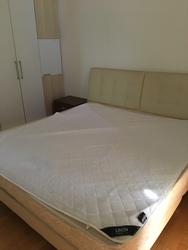 The Levelz (D10), Condominium #146184102